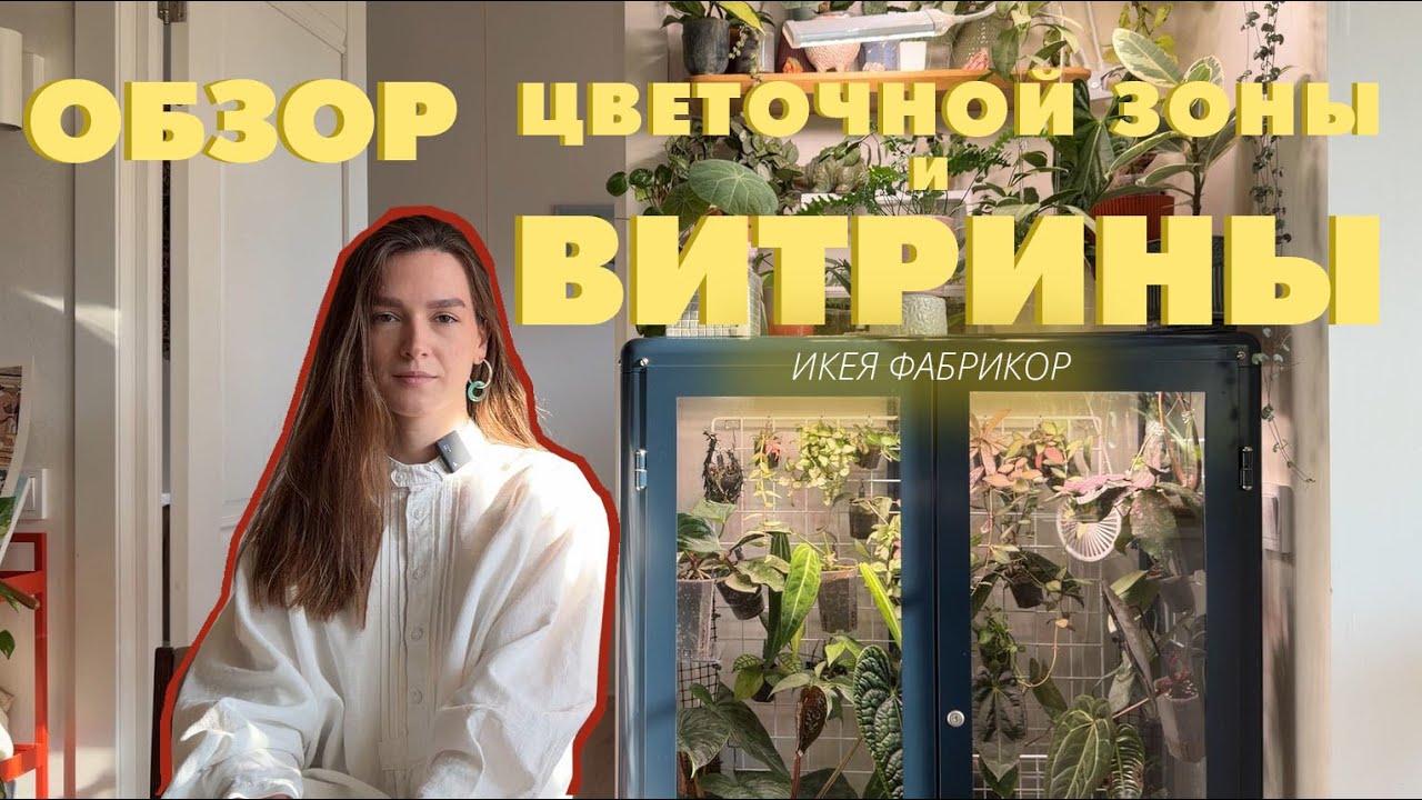 ОБЗОР витрины с растениями / любимый цветочный уголок