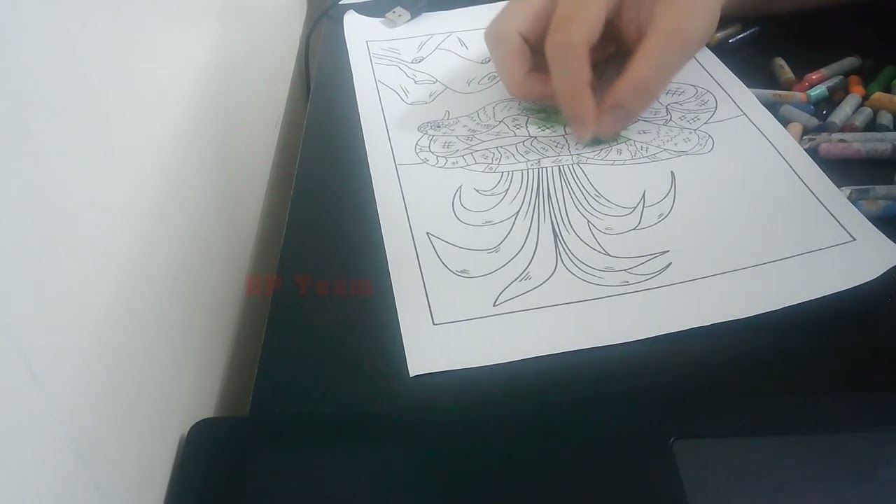 Color The Picture Of A Snake Coiled In The Thick Grass, Basking In The Sun 1 - Packed