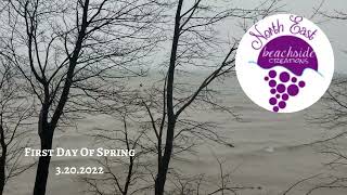 March 16, 2022  -  March 20, 2022 End of Winter, First Day of Spring
