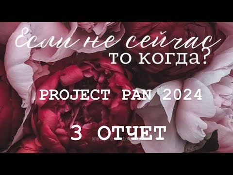 видео: Бесконечный PROJECT PAN 2024 Отчет 3
