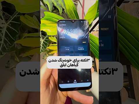 ۳نکته برای خوشرنگ شدن گیاهان ابلق