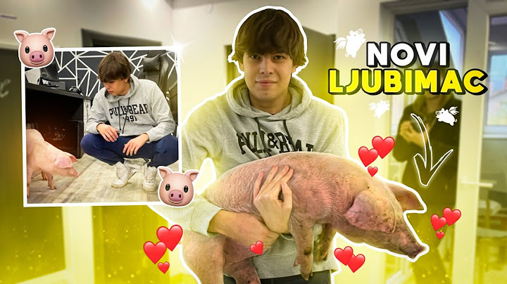 KUPIO SAM PRASE ZA KUĆNOG LJUBIMCA