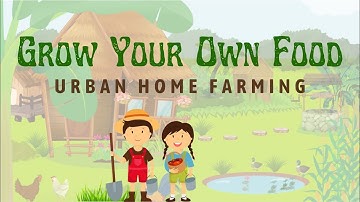 SCRATCH HACKATHON 2022 [Grow Your Own Food] H&R