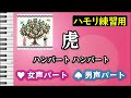 虎 / ハンバート ハンバート(ハモリ練習用) 歌詞付き音程バー有り