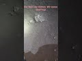 #ghost #horror #ghostarea #para #subscribe #paranormal #fyp #foryou #horrorshorts #fypyoutube #fypシ