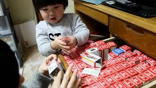夫のトミカ開放2016