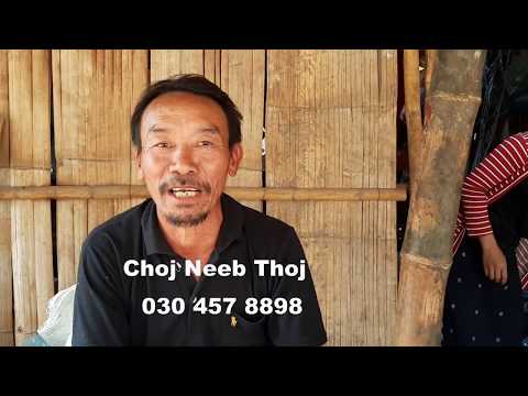 Video: Kev Cai Lij Choj Hais Txog Kev Ua Tshuaj Hauv Tshuaj - Tus Kws Kho Mob Puas Tuaj Yeem Thov Kho Tau?