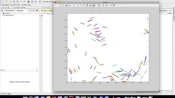 Flock of starlings birds Matlab simulations + Matlab script code