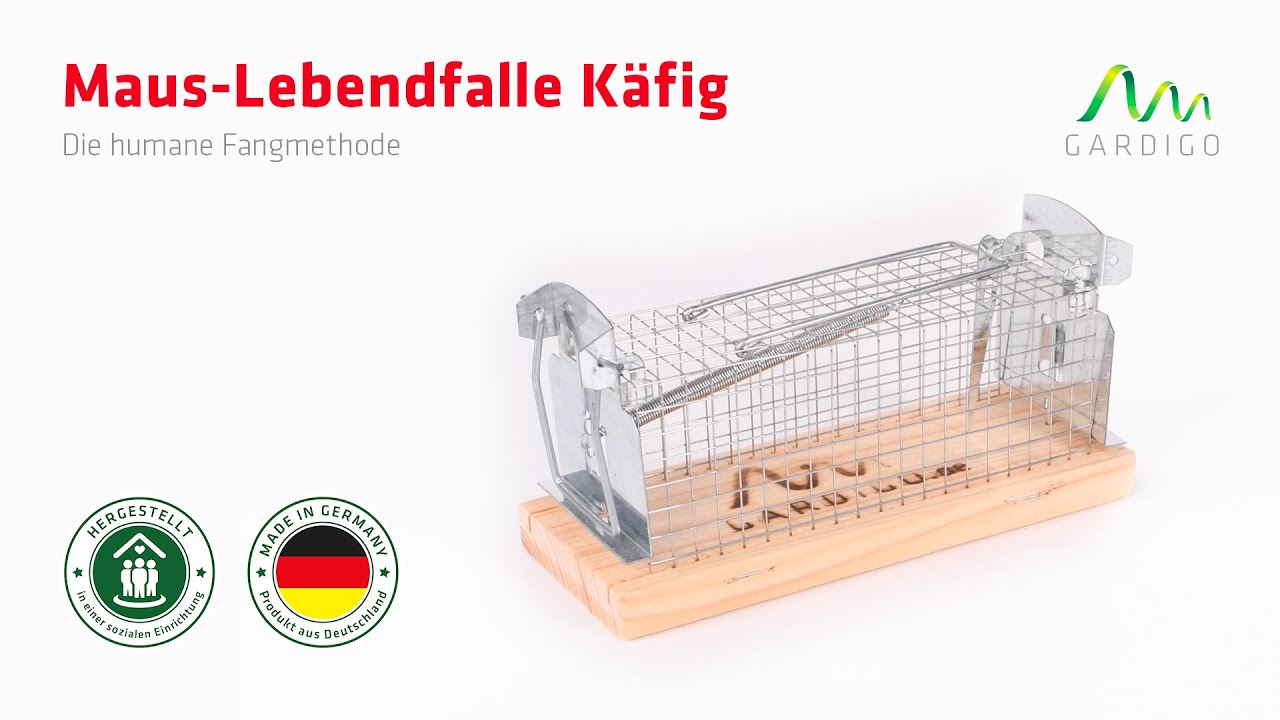 Maus-Lebendfalle Käfig │ Schonend, Sozial und Made in Germany 