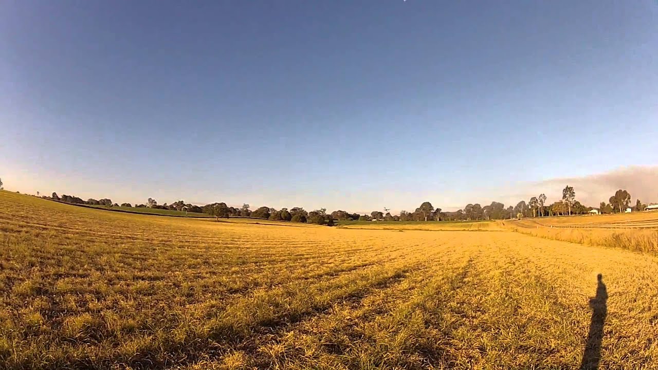 Franken-Warp KISS esc