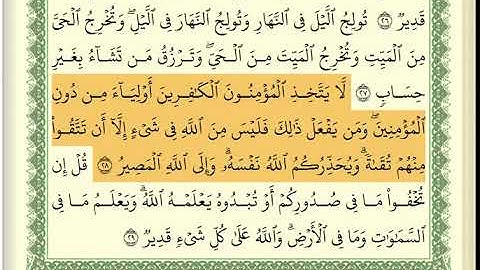 سورة ال عمران كاملة عبد الله بصفر مكتوبة
