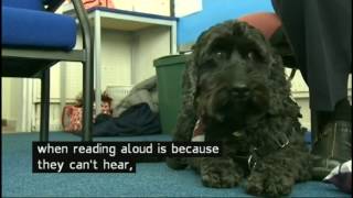 Hearing Dogs for the Deaf reading project