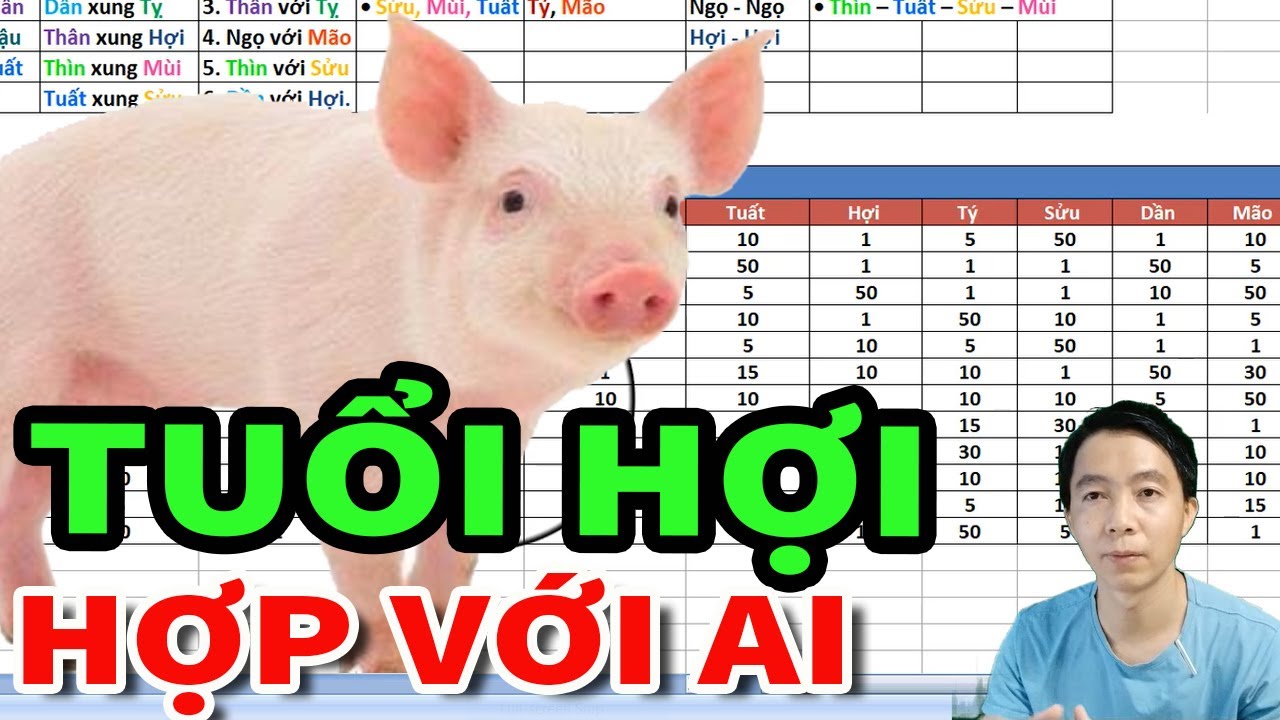 Tuổi HỢI (tuổi Heo) hợp với ai KẾT HỢP LÀM ĂN - KẾT HÔN - SINH CON hợp tuổi nào?