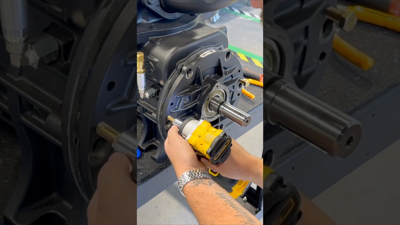 Replacing the Vanes on a Battioni Rotary Vane Pump 