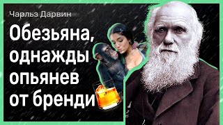 Ироничные цитаты Чарльза Дарвина, за которые его многие так ненавидят | Цитаты Великих