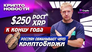 Как россиян обворовывают через криптобиржи | Рост XRP до $250? | Крипто-новости | Crypto Emergency