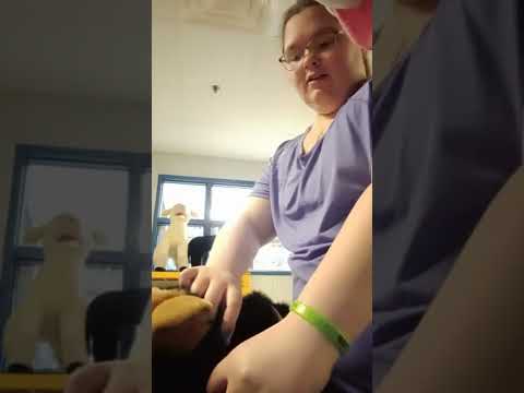 Applying a Nylon Dog Muzzle