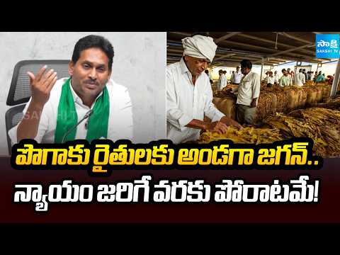 YS Jagan Promise To Tobacco Farmers | CM Chandrababu | AP News | Sakshi Tv - SAKSHITV