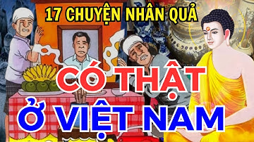 15 Câu Chuyện Nhân Quả Có Thật 100% Ở Việt Nam. Nghe Thức Tỉnh Lương Tâm. Làm Người Phải Có Đức