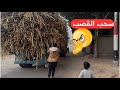 ولد الحاج صديق بيسحب قصب من المقطورة فصلان ضحك 