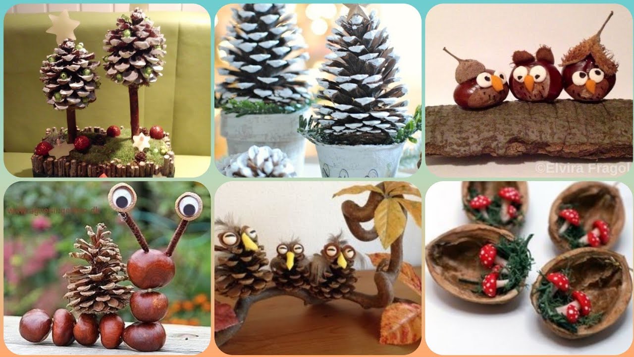 10-24 Decoration Pinecones, Small Pinecones for Crafting, Meduim Pinecones,  Large Pinecones, Crafting Pinecones, Fairy Garden, Diy Foraging 