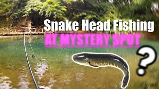 Snakeheads Invade Herring Run: Hidden Spot/Urban Baltimore Honeyhole