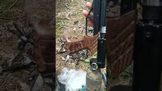 Thành Quả Buổi Đi Săn Bằng Condor Z Xả Trực Tiếp