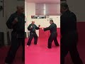 KENPO-AIKIJUTSU SHORT MAESTRO 6° DAN LUCIO PICCIOLI RESPONSABILE NAZIONALE MSP ITALIA