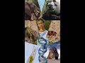Human Genome DNA الجينيوم البشرى الحمض النووي الريبوزي