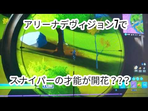 switch勢弱者が魅せる【フォートナイト】【アリーナ】キル集