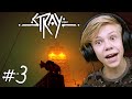 Связь с  Миром -  Зурки не Смогут Меня Остановить )) Stray Прохождение #3