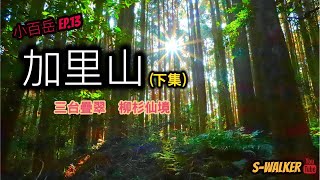S小百岳|苗栗|加里山(下集)|三台疊翠柳杉仙境|南庄鄉 S小百岳|苗栗|加里山(下集)|三台疊翠柳杉仙境|南庄鄉