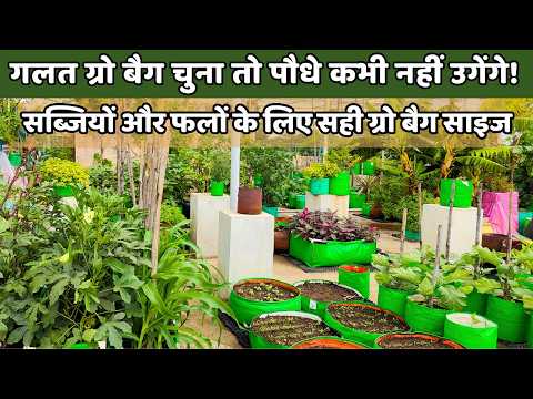 गलत ग्रो बैग चुना तो पौधे कभी नहीं उगेंगे! गार्डन में सब्जियां और फल उगाने के लिए सही ग्रो बैग साइज