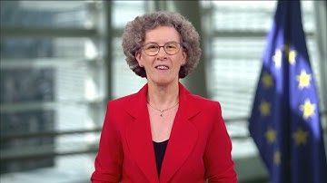 Hilde Hardeman, Head of the European Commission