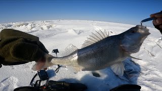 видео: ЛОВЛЯ БЕЛОГО ОКУНЯ на  ОЗЕРЕ АЛАКОЛЬ . Зимняя РЫБАЛКА картинка: ЛОВЛЯ БЕЛОГО ОКУНЯ на  ОЗЕРЕ АЛАКОЛЬ . Зимняя РЫБАЛКА