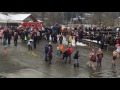 Polar bear swim 2017, Port Moody, Rocky Point.