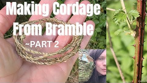 Making Cordage From Bramble | Part 2 Twisting Into Cord