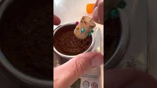 Staccato Tamped Espresso Basket Preparation