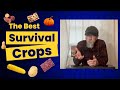 Survival gardening 7 best survival crops