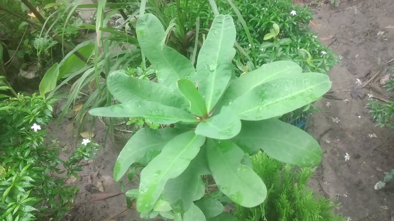 Suvichar | Emotional Heart Touching Story | Motivational Story | Moral Story Hindi Sacchi Kahani 112