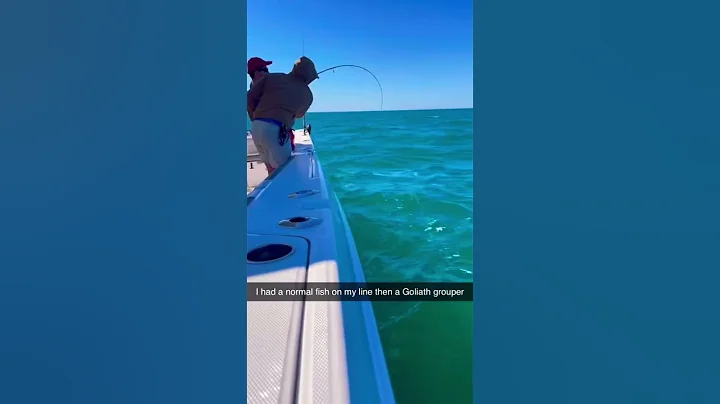 In FL I had A normal Fish Hooked Then The goliath grouper was on ￼