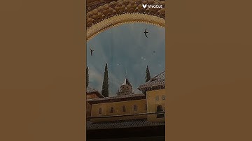 احترم القرآن الكريم ربيع قلوبنا ونور صدورنا وشفيعنا يوم القيامة