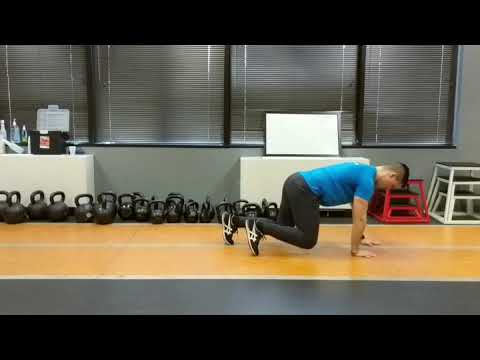 Bear Crawl
