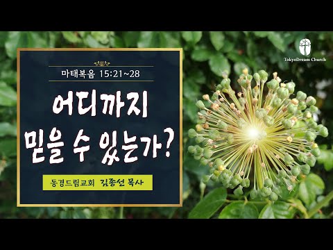 어디까지 믿을 수 있는가? 설교 영상
