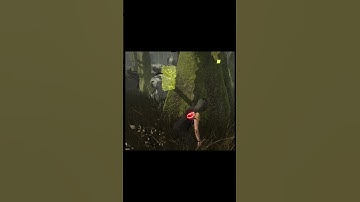 how to counter huntress 😥 #dbd #deadbydaylight #deadbydaylightsurvivor #dbdclips #gaming