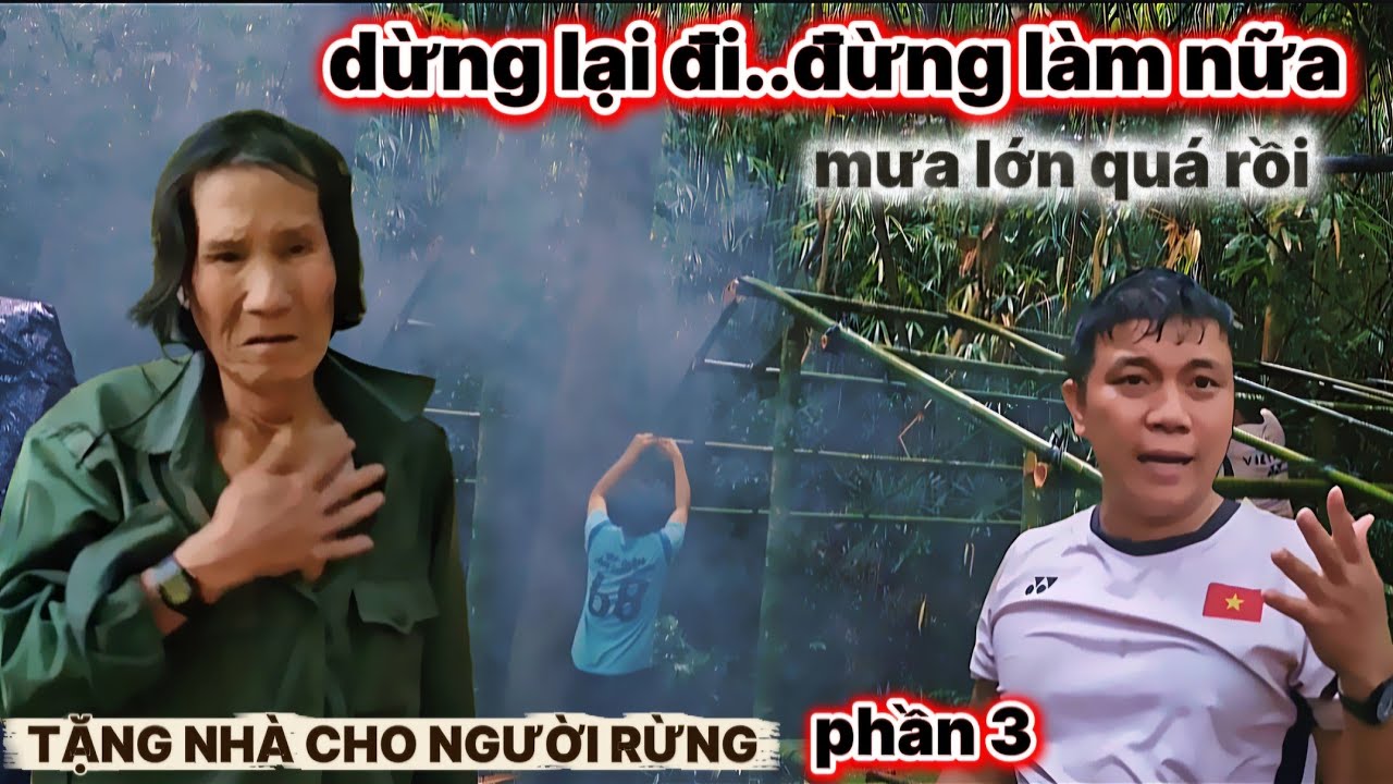 SỐNG ẨN DẬT40 NĂMTRONG RỪNG,đau lòng khi thấy các con dầm mưa làm nhà tặng cho ông.