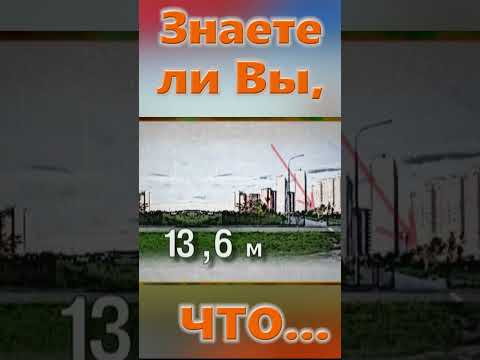 Знаете ли Вы, Что? Блоха