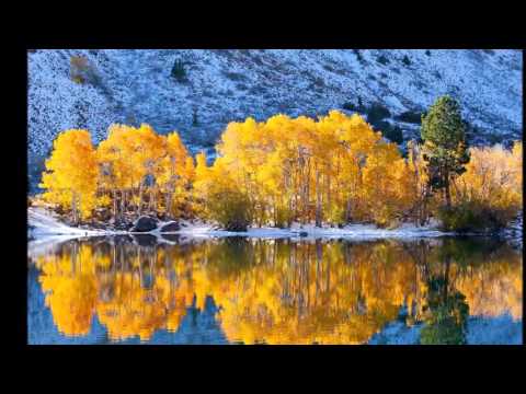 Вивальди Времена года Осень 