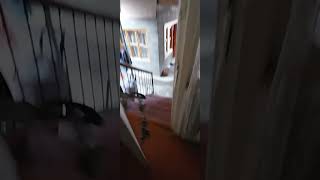 Gəncə Şəhəri3 Otaq20500 Manat