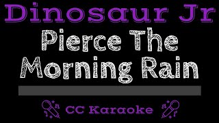 Dinosaur Jr • Pierce The Morning Rain (CC) [Karaoke Instrumental Lyrics]